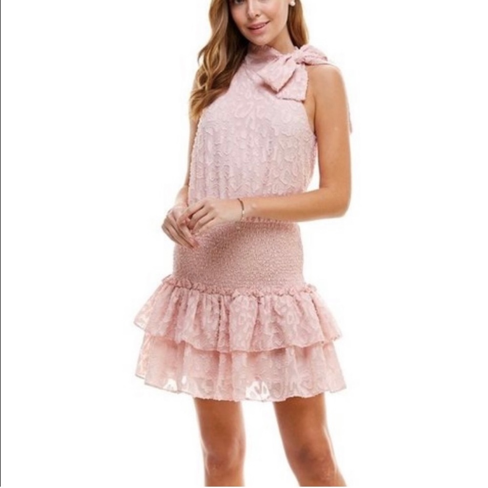 VICI Pink Dress